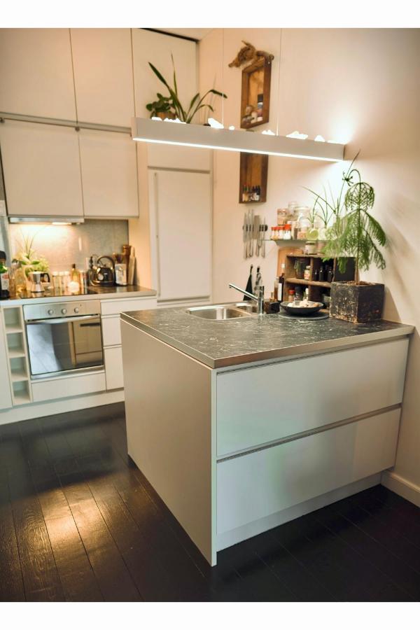 Lovely, 1898 Jugendstil Design Apartment, Old Haarlem City Centre, Fully Renovated With Parkview Near Amsterdam And Zandvoort, Bloemendaal Beach Exterior photo