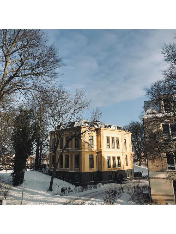 Lovely, 1898 Jugendstil Design Apartment, Old Haarlem City Centre, Fully Renovated With Parkview Near Amsterdam And Zandvoort, Bloemendaal Beach Exterior photo