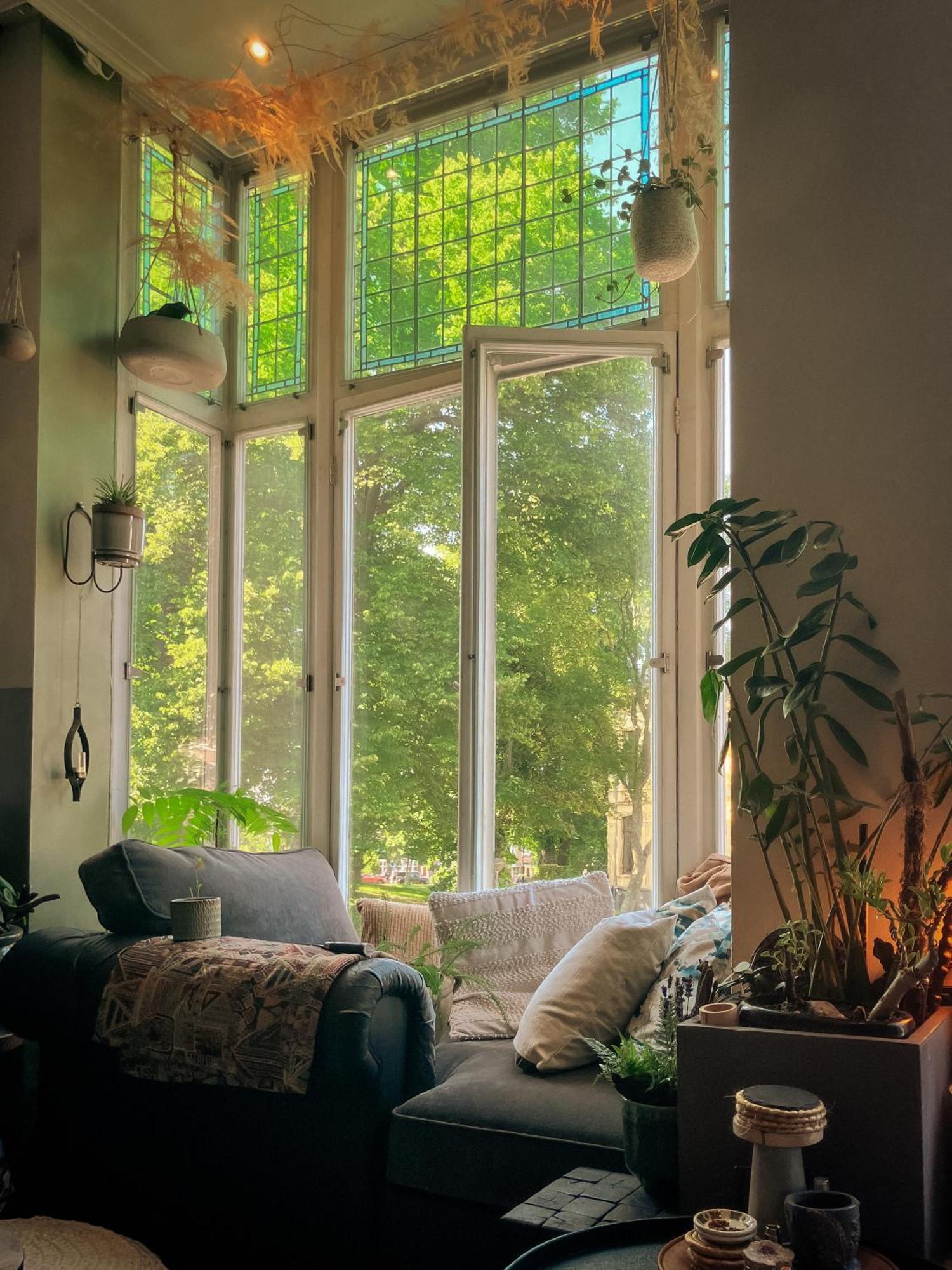 Lovely, 1898 Jugendstil Design Apartment, Old Haarlem City Centre, Fully Renovated With Parkview Near Amsterdam And Zandvoort, Bloemendaal Beach Exterior photo